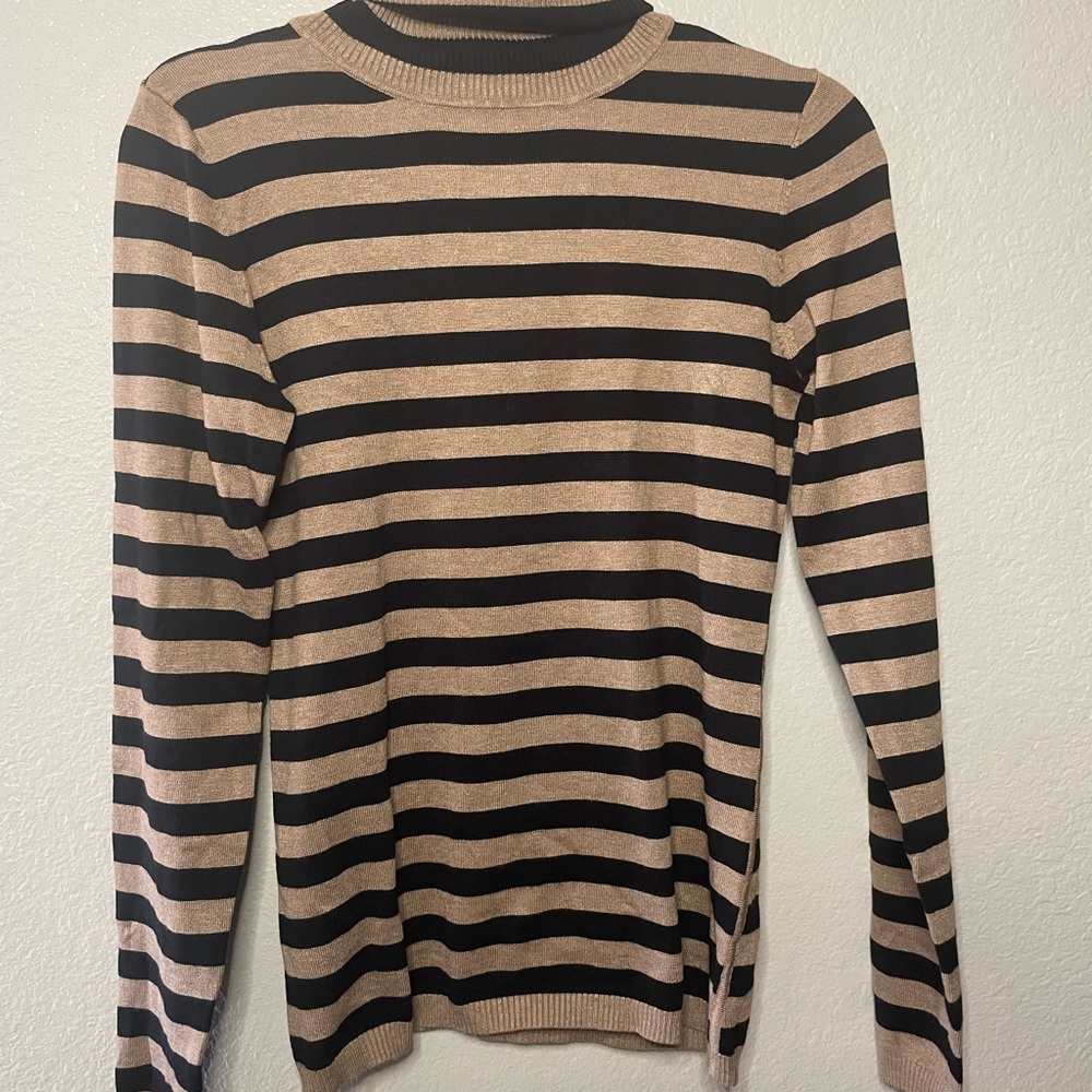 The Limited Turtle Neck